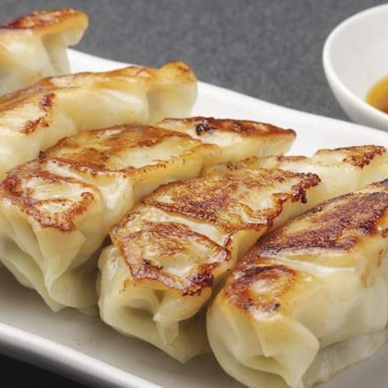 Savor Our Authentic Gyoza