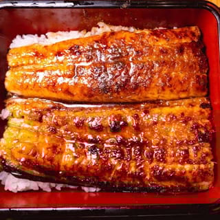Unagi Don