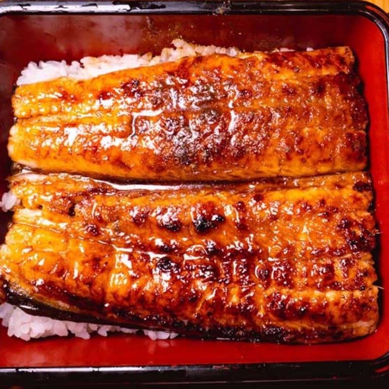 Unagi Delicacies You Must Try